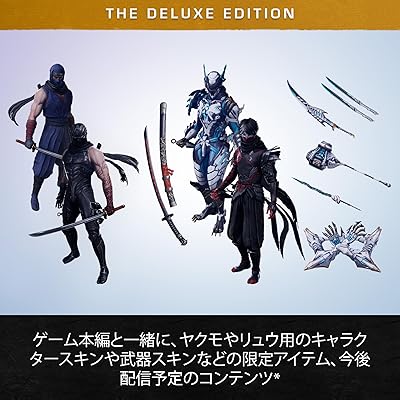 【値下げ可能】NINJA GAIDEN 4 ポスター 非売品 Ninja Gaiden 4 (2025) - MobyGames